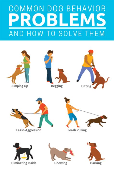 Dog Training and behaviour solving